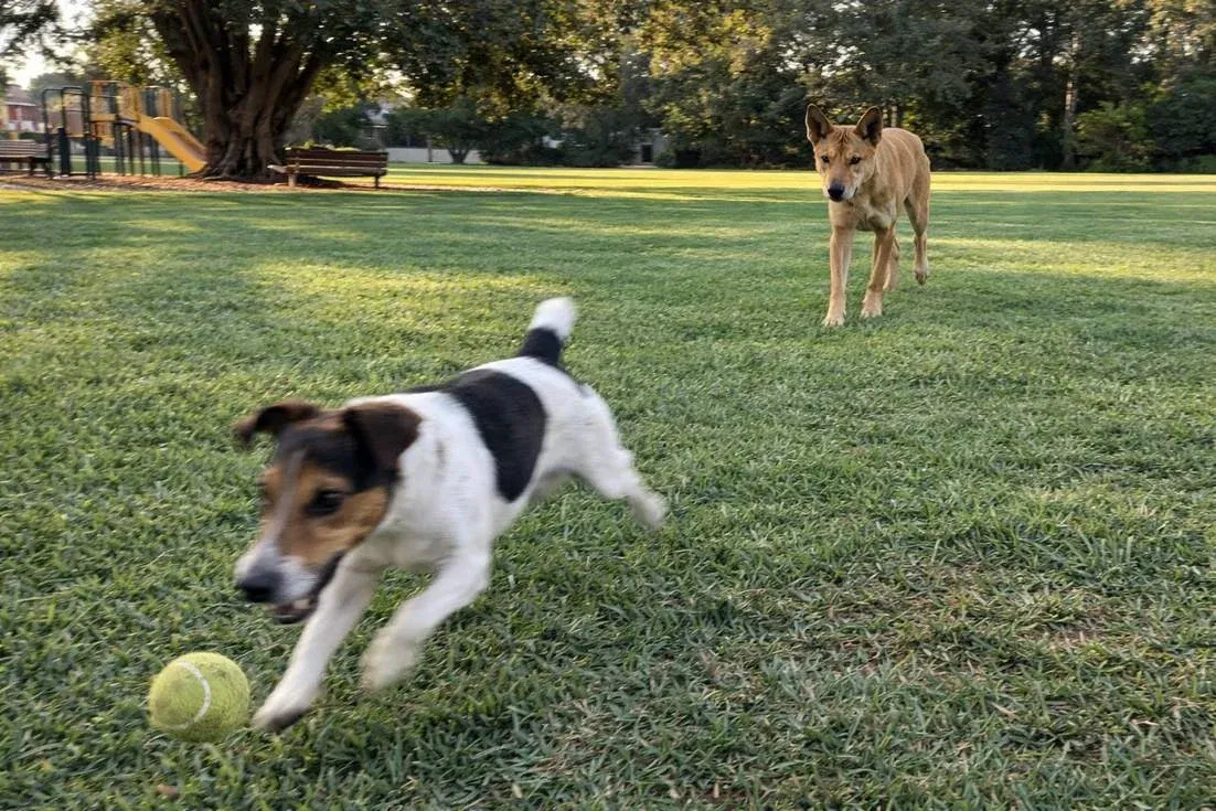 chatgpt-image-mar-16-2026-09_02_14-pm Chatgpt Image Mar 16 2026 09 02 14 Pm