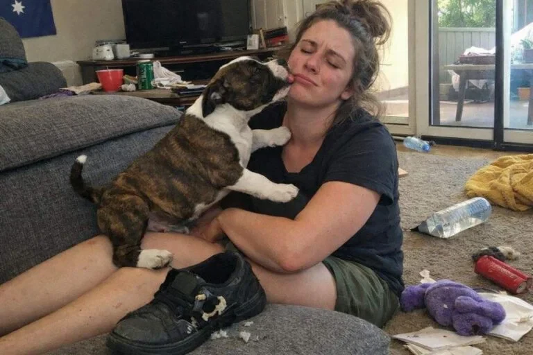 Woman Sitting On The Floor With A Staffy Puppy Climbing On Her Lap