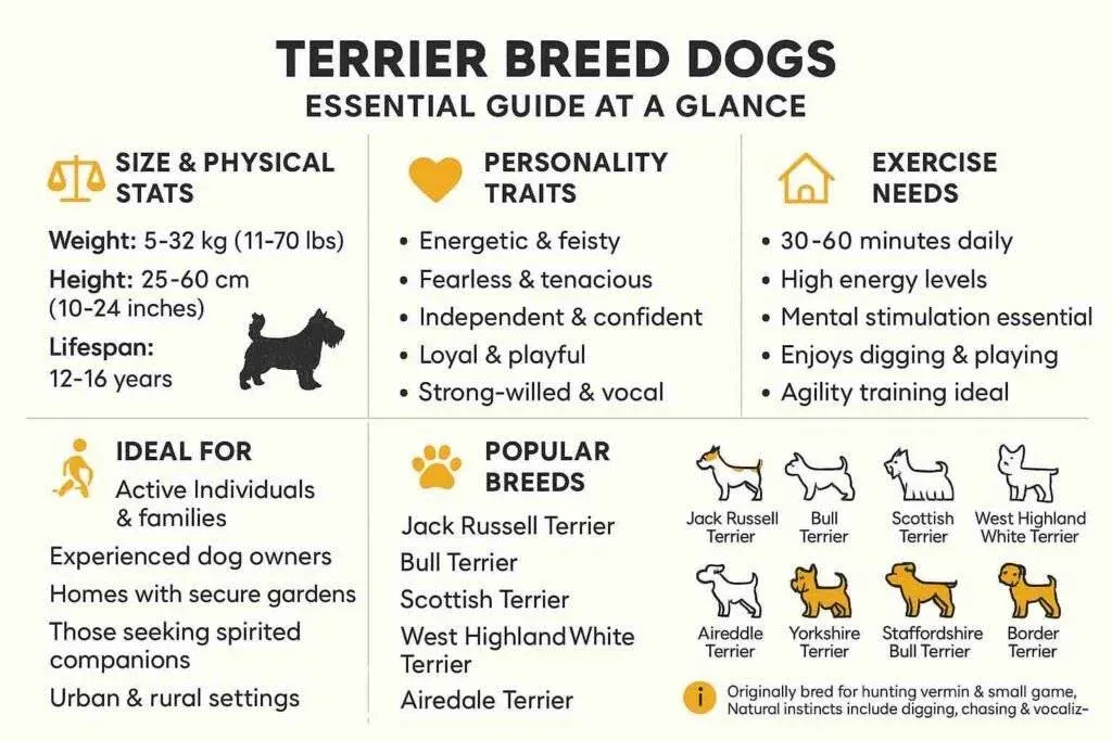 Terrier Breeds info Chart
